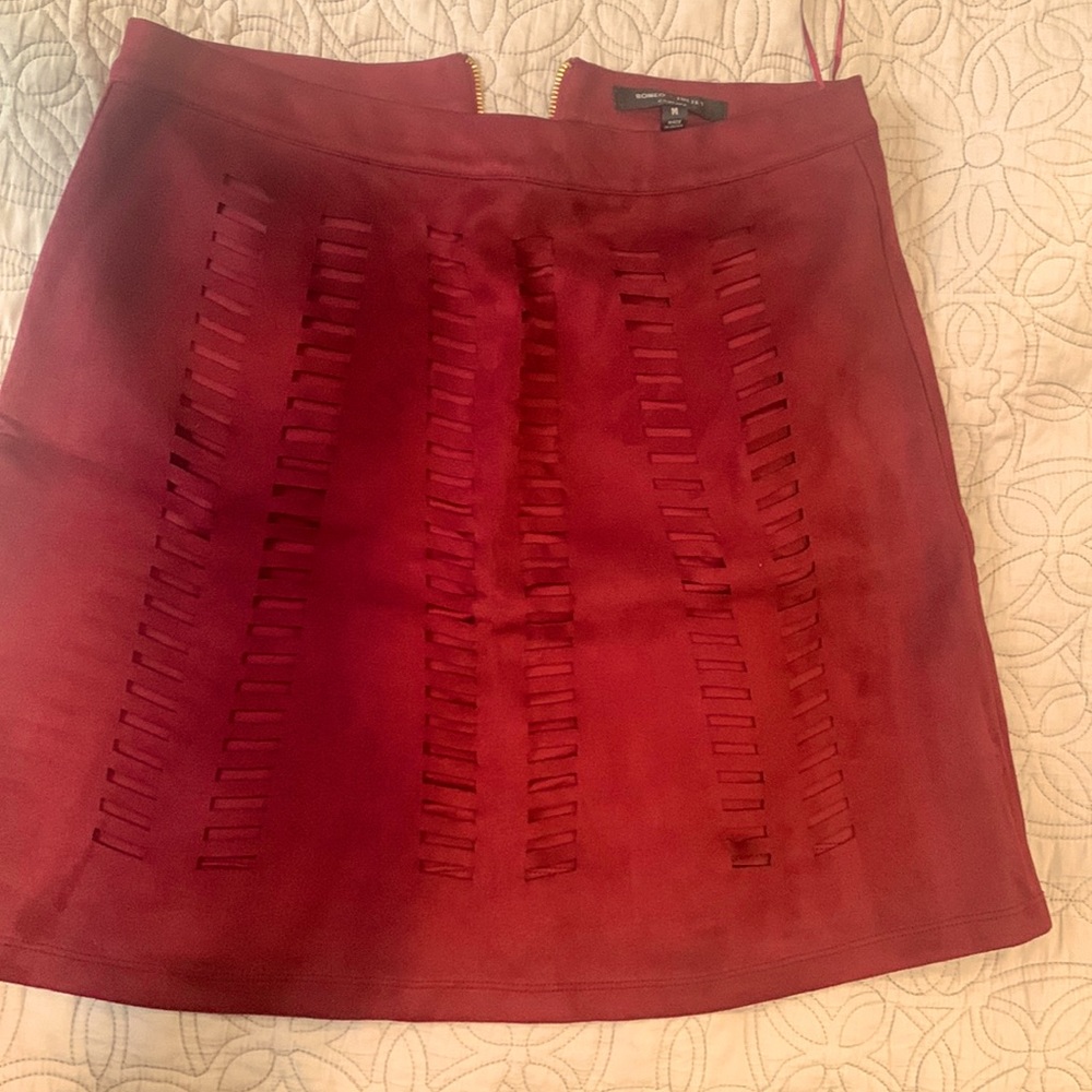 New mini skirt, no tag, never worn